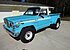 1979 Jeep Other Jeep Models for sale 101427610